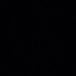 Meet your Posher, Wyatt